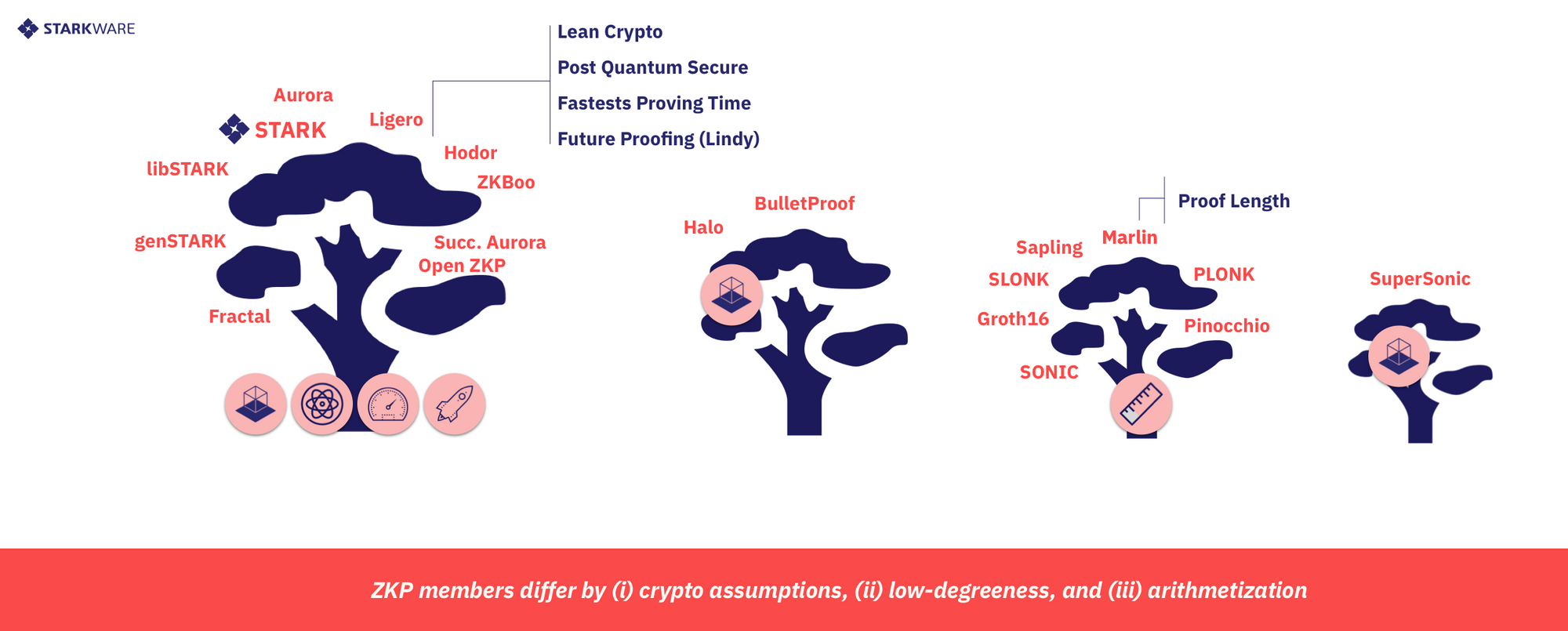 A Cambrian Explosion of Crypto Proofs